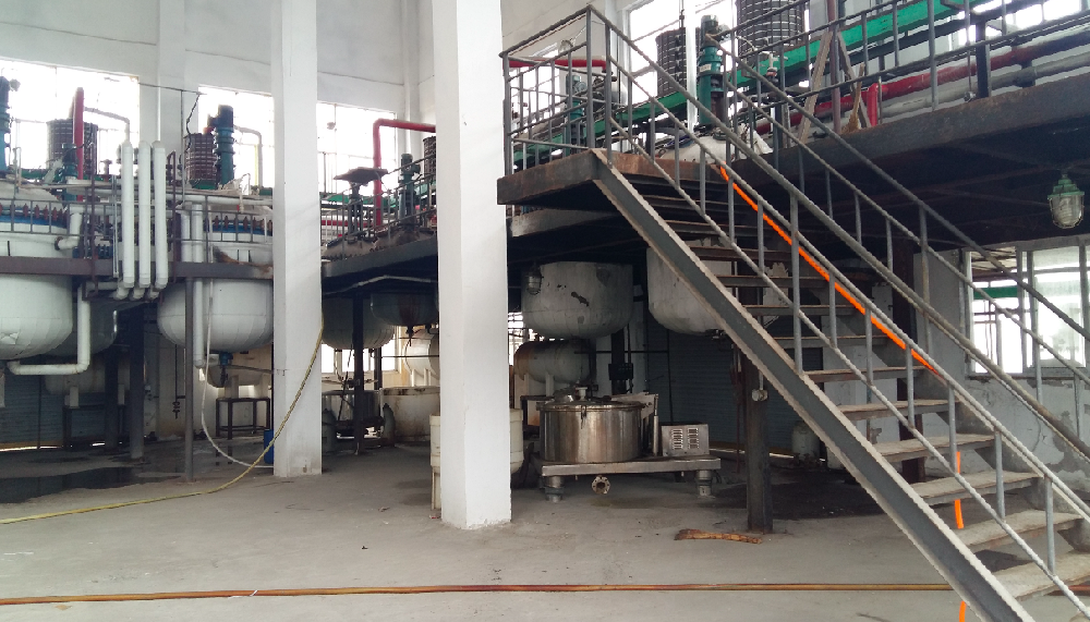 案例展示