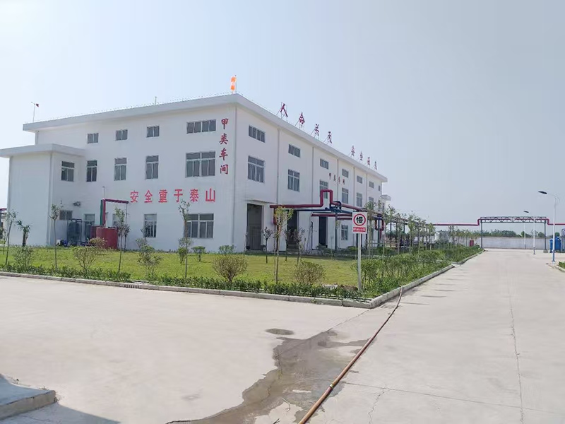 案例展示